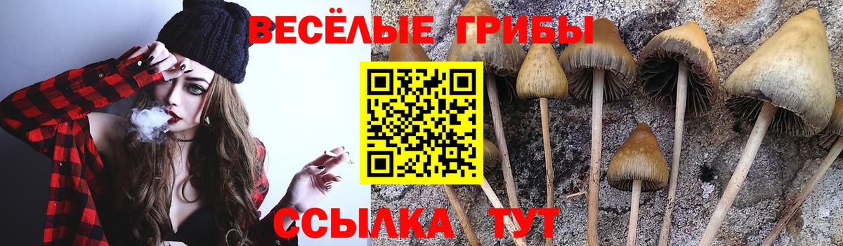 Бошки Шишки Будённовск