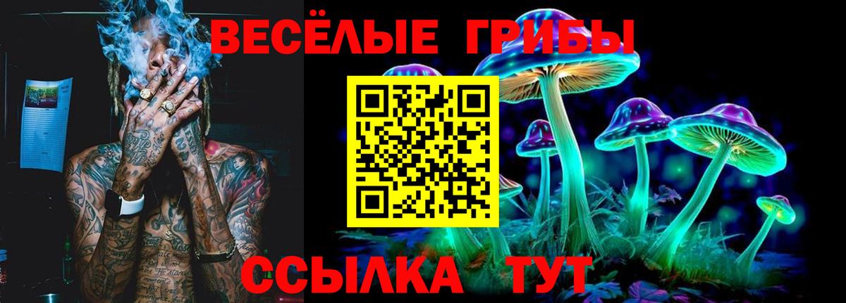 купить наркотик  Псилоцибиновые грибы прущие грибы  Вход с VPN  Псилоцибиновые грибы ЛСД  Будённовск 