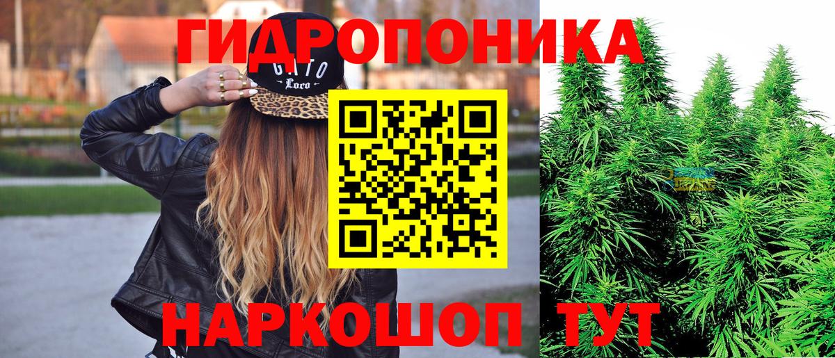 Будённовск  МАРИХУАНА тримм  Вход с VPN  Канабис планчик 